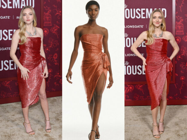 Amanda Seyfried Stuns in Monse Sparkling Attire at "The Housemaid" LA Premiere—See Her Showstopping Look!
