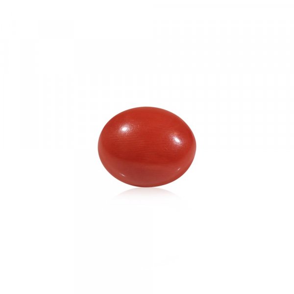 Natural Red Coral Stone
