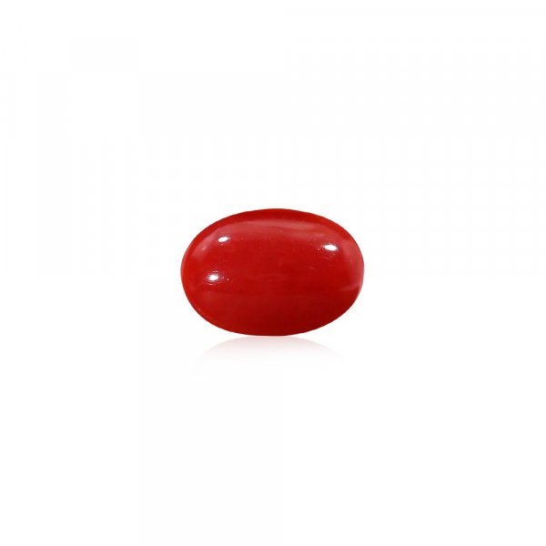 Red glossy jelly bean shaped coral stone on a white background with a subtle reflection beneath it.